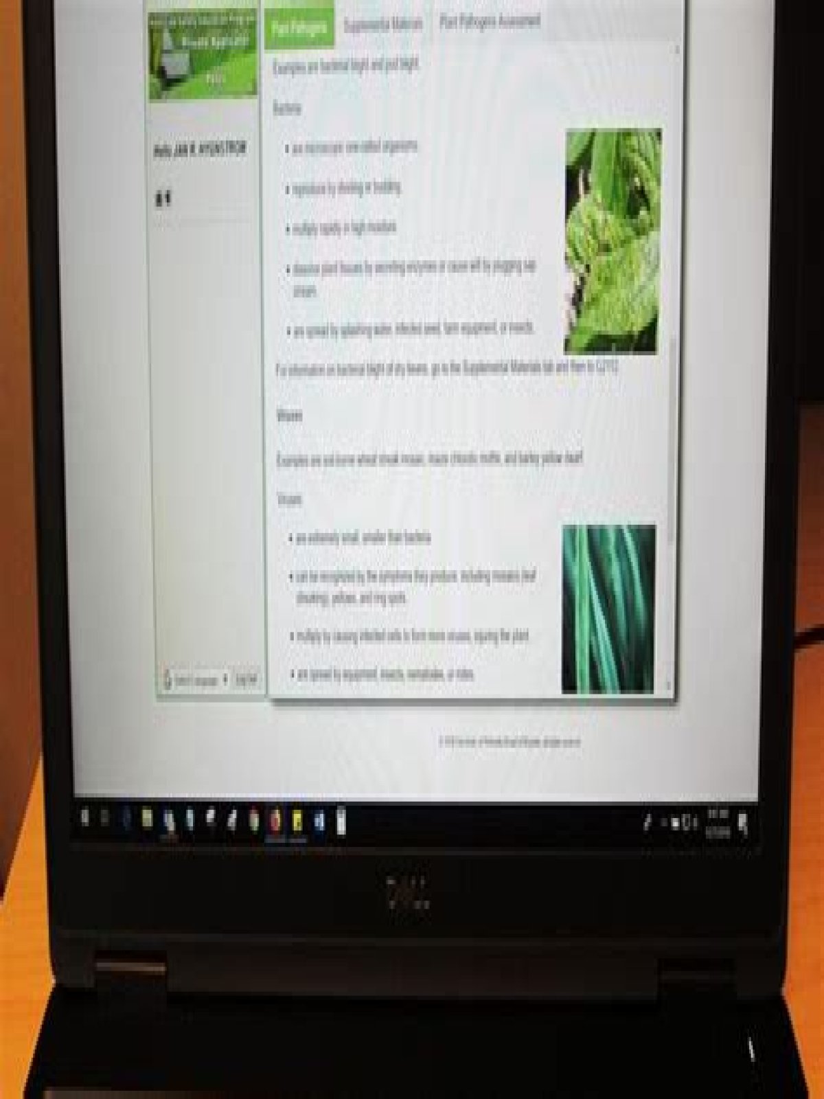 HTML