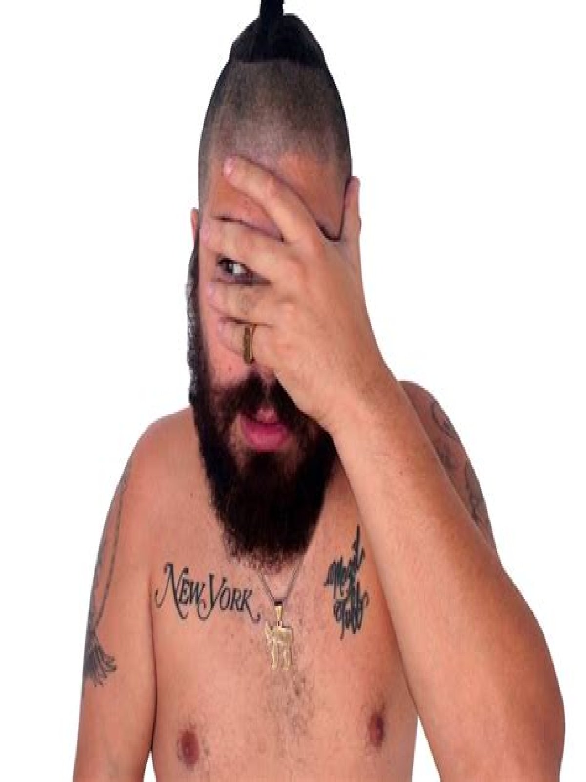 HTML